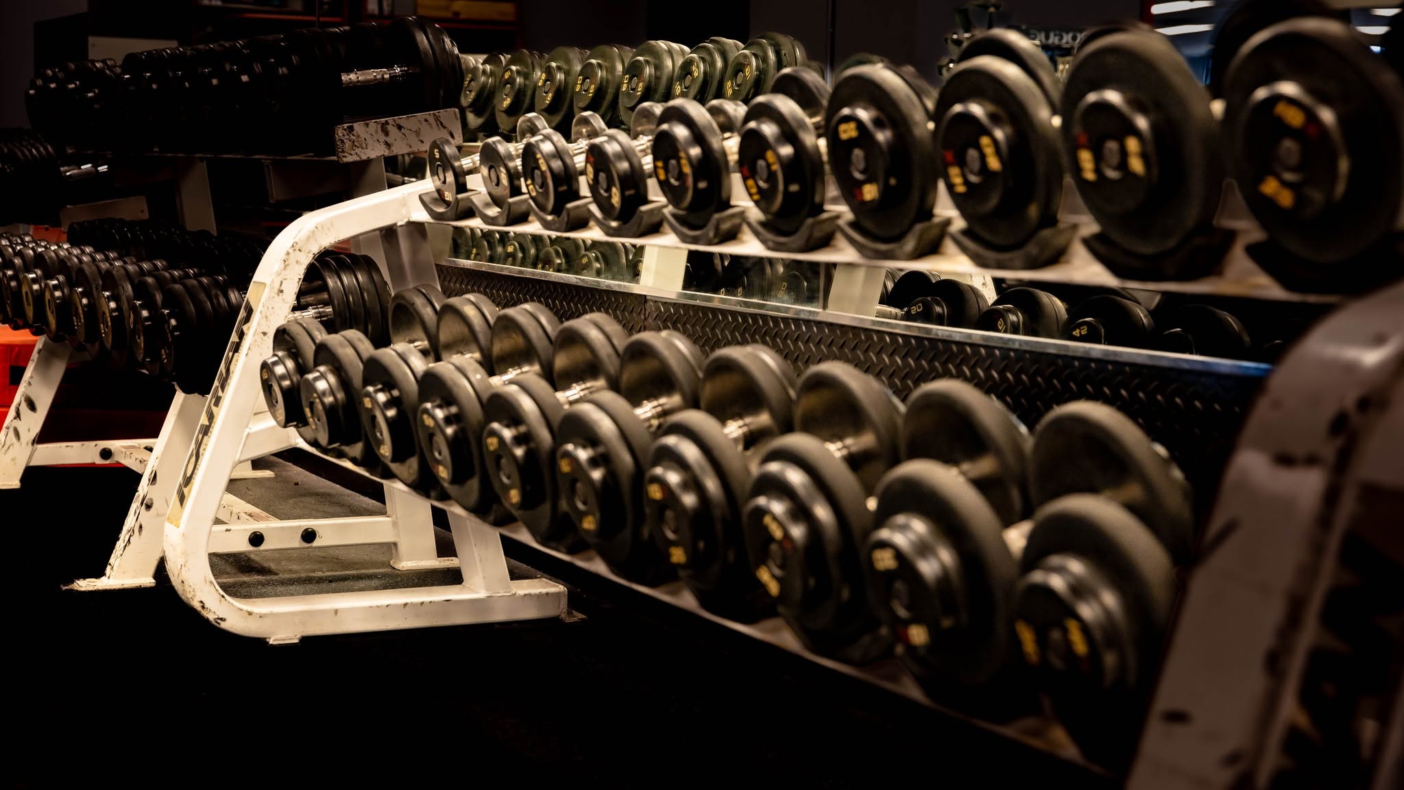 Dumbbell racks at Southern Fitness